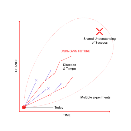 a graph of change and time showing multiple simultaneous experiments leading toward a shared understanding of what success means