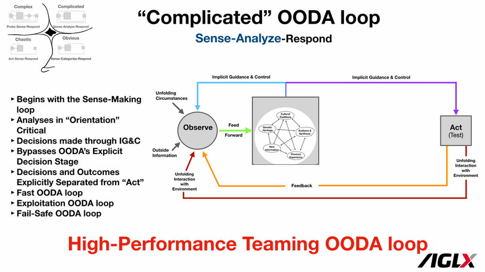 High-Performance Teaming OODA loop
